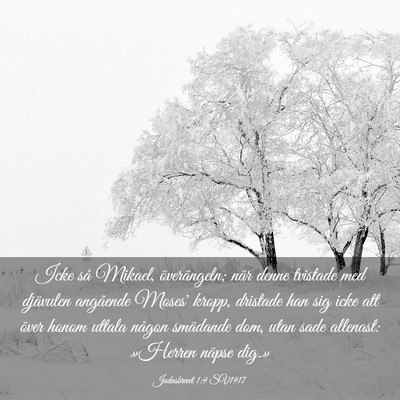 Picture 03 - Judasbrevet 1:9 SV1917 - Icke så Mikael, överängeln; när denne - Bible Verse Picture
