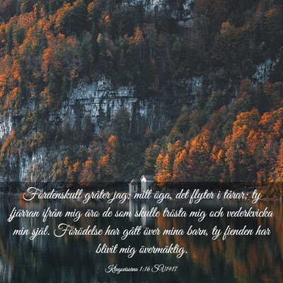 Picture 03 - Klagovisorna 1:16 SV1917 - Fördenskull gråter jag; mitt öga, det flyter i - Bible Verse Picture