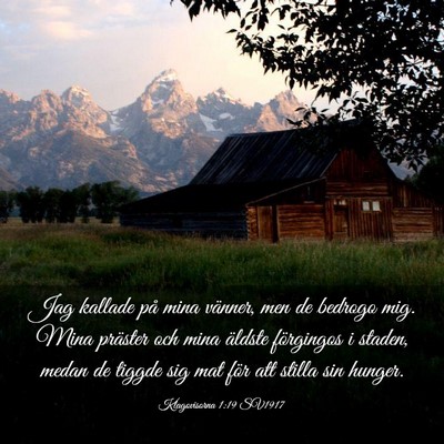 Picture 03 - Klagovisorna 1:19 SV1917 - Jag kallade på mina vänner, men de bedrogo mig. - Bible Verse Picture