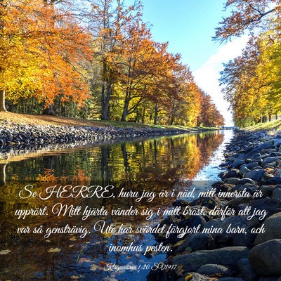 Picture 03 - Klagovisorna 1:20 SV1917 - Se HERRE, huru jag är i nöd, mitt innersta är - Bible Verse Picture