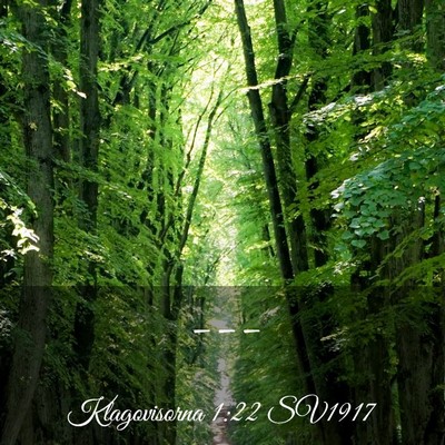 Picture 03 - Klagovisorna 1:22 SV1917 -  - Bible Verse Picture