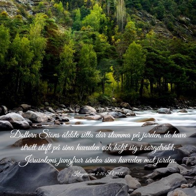 Picture 03 - Klagovisorna 2:10 SV1917 - Dottern Sions äldste sitta där stumma på - Bible Verse Picture