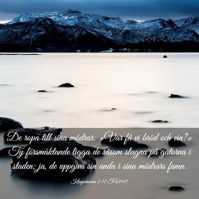 Picture 03 - Klagovisorna 2:12 SV1917 - De ropa till sina mödrar: »Var få vi bröd och - Bible Verse Picture