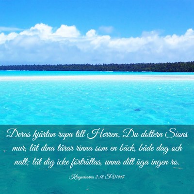 Picture 03 - Klagovisorna 2:18 SV1917 - Deras hjärtan ropa till Herren. Du dottern Sions - Bible Verse Picture