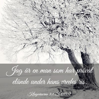 Picture 03 - Klagovisorna 3:1 SV1917 - Jag är en man som har prövat elände under hans - Bible Verse Picture