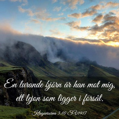 Picture 03 - Klagovisorna 3:10 SV1917 - En lurande björn är han mot mig, ett lejon som - Bible Verse Picture