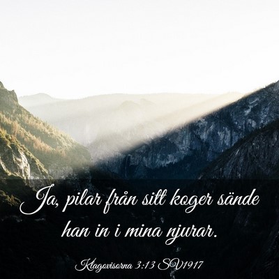 Picture 03 - Klagovisorna 3:13 SV1917 - Ja, pilar från sitt koger sände han in i mina - Bible Verse Picture
