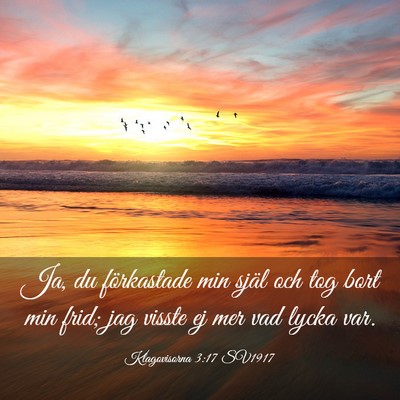 Picture 03 - Klagovisorna 3:17 SV1917 - Ja, du förkastade min själ och tog bort min - Bible Verse Picture