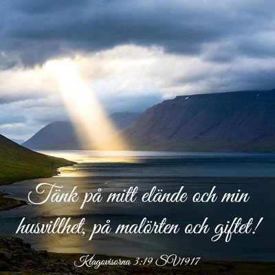 Picture 03 - Klagovisorna 3:19 SV1917 - Tänk på mitt elände och min husvillhet, på - Bible Verse Picture