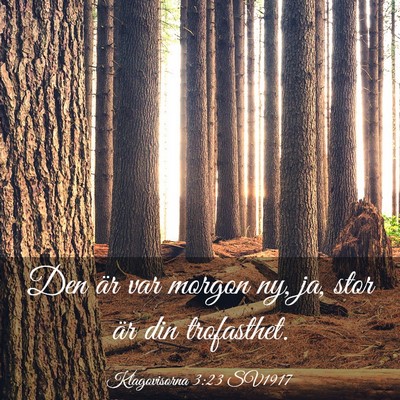 Picture 03 - Klagovisorna 3:23 SV1917 - Den är var morgon ny, ja, stor är din - Bible Verse Picture