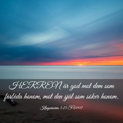 Picture 03 - Klagovisorna 3:25 SV1917 - HERREN är god mot dem som förbida honom, mot - Bible Verse Picture