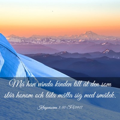 Picture 03 - Klagovisorna 3:30 SV1917 - Må han vända kinden till åt den som slår - Bible Verse Picture
