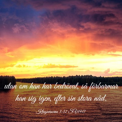 Picture 03 - Klagovisorna 3:32 SV1917 - utan om han har bedrövat, så förbarmar han sig - Bible Verse Picture