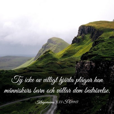 Picture 03 - Klagovisorna 3:33 SV1917 - Ty icke av villigt hjärta plågar han - Bible Verse Picture