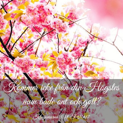 Picture 03 - Klagovisorna 3:38 SV1917 - Kommer icke från den Högstes mun både ont och - Bible Verse Picture