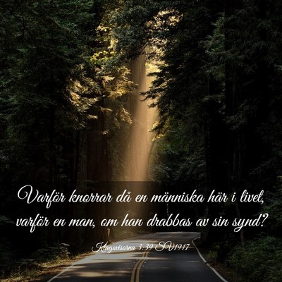 Picture 03 - Klagovisorna 3:39 SV1917 - Varför knorrar då en människa här i livet, - Bible Verse Picture