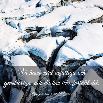 Picture 03 - Klagovisorna 3:42 SV1917 - Vi hava varit avfälliga och gensträviga, och du - Bible Verse Picture