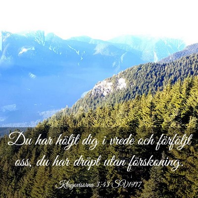 Picture 03 - Klagovisorna 3:43 SV1917 - Du har höljt dig i vrede och förföljt oss, du - Bible Verse Picture