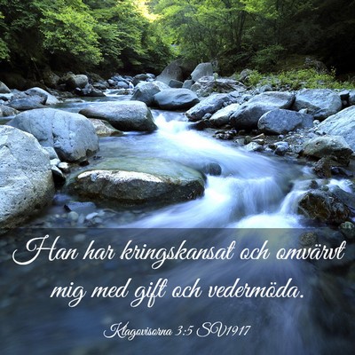 Picture 03 - Klagovisorna 3:5 SV1917 - Han har kringskansat och omvärvt mig med gift - Bible Verse Picture