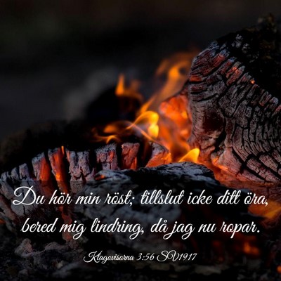 Picture 03 - Klagovisorna 3:56 SV1917 - Du hör min röst; tillslut icke ditt öra, bered - Bible Verse Picture