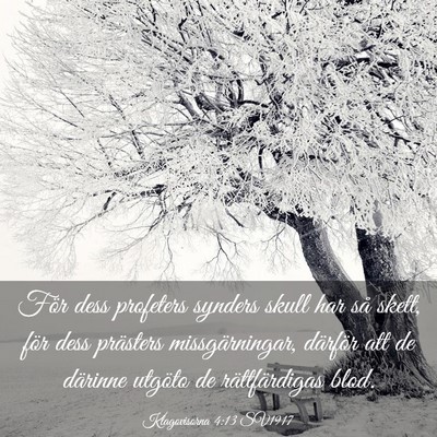 Picture 03 - Klagovisorna 4:13 SV1917 - För dess profeters synders skull har så skett, - Bible Verse Picture