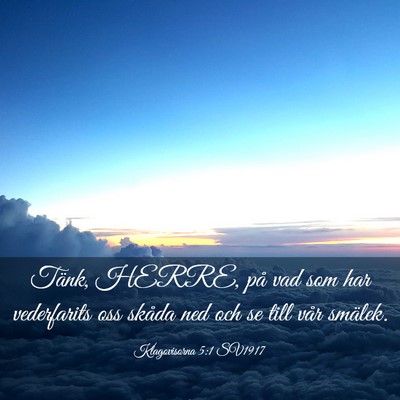 Picture 03 - Klagovisorna 5:1 SV1917 - Tänk, HERRE, på vad som har vederfarits oss - Bible Verse Picture