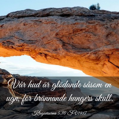 Picture 03 - Klagovisorna 5:10 SV1917 - Vår hud är glödande såsom en ugn, för - Bible Verse Picture