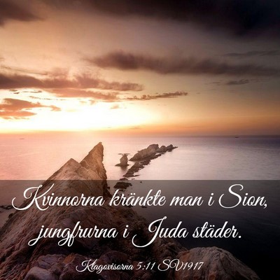 Picture 03 - Klagovisorna 5:11 SV1917 - Kvinnorna kränkte man i Sion, jungfrurna i Juda - Bible Verse Picture
