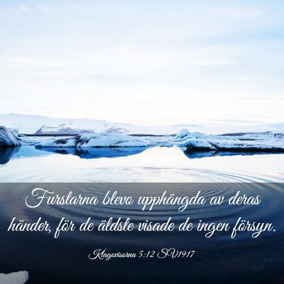 Picture 03 - Klagovisorna 5:12 SV1917 - Furstarna blevo upphängda av deras händer, för - Bible Verse Picture