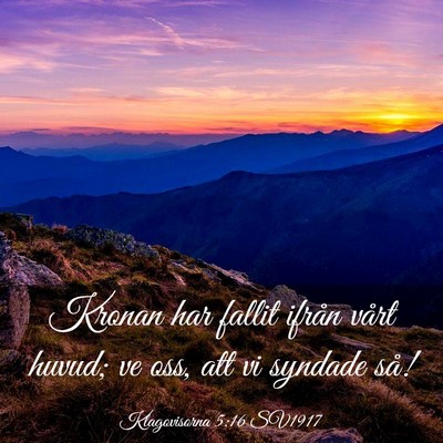 Picture 03 - Klagovisorna 5:16 SV1917 - Kronan har fallit ifrån vårt huvud; ve oss, att - Bible Verse Picture