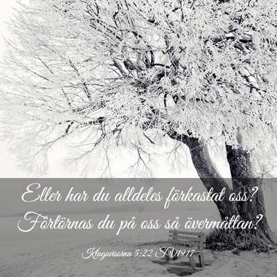 Picture 03 - Klagovisorna 5:22 SV1917 - Eller har du alldeles förkastat oss? Förtörnas - Bible Verse Picture