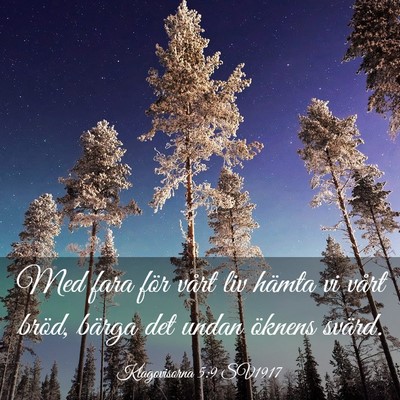 Picture 03 - Klagovisorna 5:9 SV1917 - Med fara för vårt liv hämta vi vårt bröd, - Bible Verse Picture
