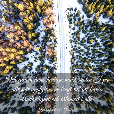 Picture 03 - Kolosserbrevet 1:11 SV1917 - Och genom hans härliga makt skolen I på allt - Bible Verse Picture