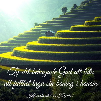 Picture 03 - Kolosserbrevet 1:19 SV1917 - Ty det behagade Gud att låta all fullhet taga - Bible Verse Picture