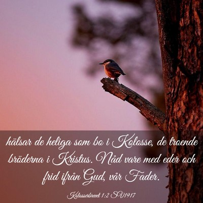 Picture 03 - Kolosserbrevet 1:2 SV1917 - hälsar de heliga som bo i Kolosse, de troende - Bible Verse Picture