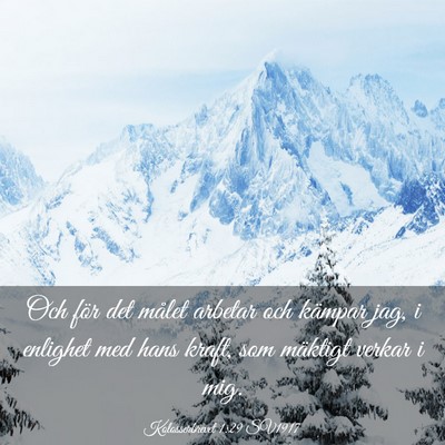Picture 03 - Kolosserbrevet 1:29 SV1917 - Och för det målet arbetar och kämpar jag, i - Bible Verse Picture