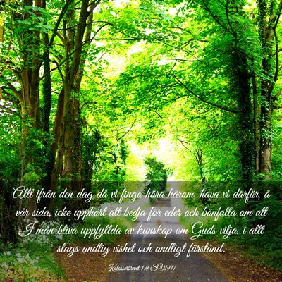 Picture 03 - Kolosserbrevet 1:9 SV1917 - Allt ifrån den dag då vi fingo höra härom, - Bible Verse Picture