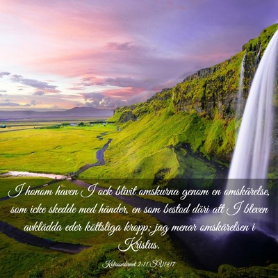 Picture 03 - Kolosserbrevet 2:11 SV1917 - I honom haven I ock blivit omskurna genom en - Bible Verse Picture