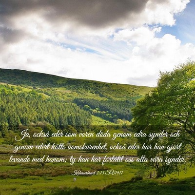 Picture 03 - Kolosserbrevet 2:13 SV1917 - Ja, också eder som voren döda genom edra synder - Bible Verse Picture