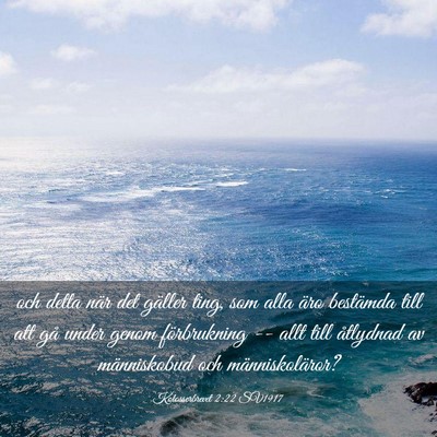 Picture 03 - Kolosserbrevet 2:22 SV1917 - och detta när det gäller ting, som alla äro - Bible Verse Picture