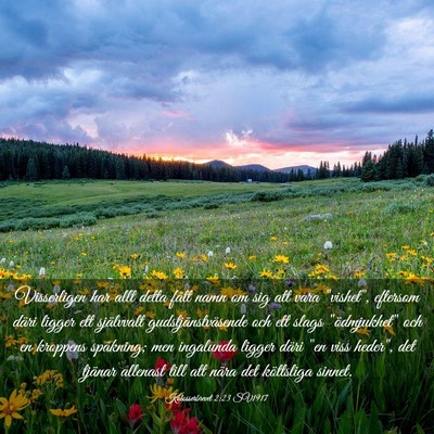 Picture 03 - Kolosserbrevet 2:23 SV1917 - Visserligen har allt detta fått namn om sig att - Bible Verse Picture