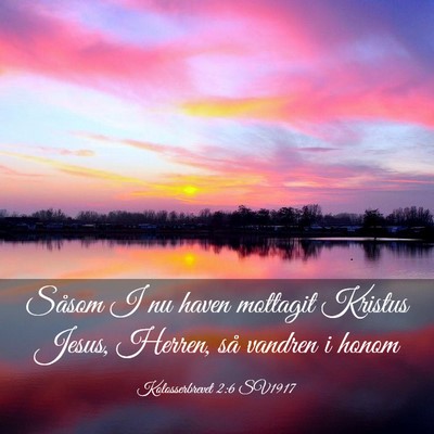 Picture 03 - Kolosserbrevet 2:6 SV1917 - Såsom I nu haven mottagit Kristus Jesus, Herren, - Bible Verse Picture