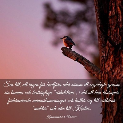 Picture 03 - Kolosserbrevet 2:8 SV1917 - Sen till, att ingen får bortföra eder såsom - Bible Verse Picture