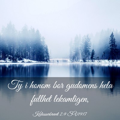 Picture 03 - Kolosserbrevet 2:9 SV1917 - Ty i honom bor gudomens hela fullhet - Bible Verse Picture