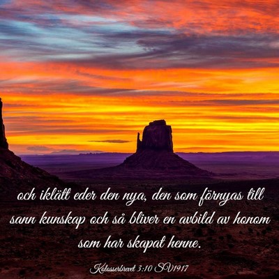 Picture 03 - Kolosserbrevet 3:10 SV1917 - och iklätt eder den nya, den som förnyas till - Bible Verse Picture