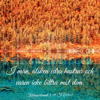 Picture 03 - Kolosserbrevet 3:19 SV1917 - I män, älsken edra hustrur och varen icke - Bible Verse Picture