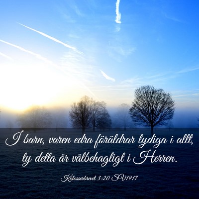 Picture 03 - Kolosserbrevet 3:20 SV1917 - I barn, varen edra föräldrar lydiga i allt, ty - Bible Verse Picture