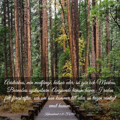 Picture 03 - Kolosserbrevet 4:10 SV1917 - Aristarkus, min medfånge, hälsar eder; så gör - Bible Verse Picture