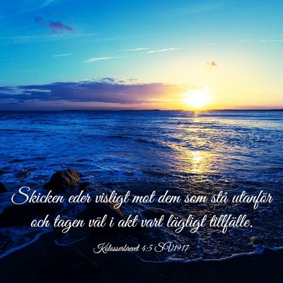 Picture 03 - Kolosserbrevet 4:5 SV1917 - Skicken eder visligt mot dem som stå utanför - Bible Verse Picture