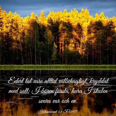 Picture 03 - Kolosserbrevet 4:6 SV1917 - Edert tal vare alltid välbehagligt, kryddat med - Bible Verse Picture